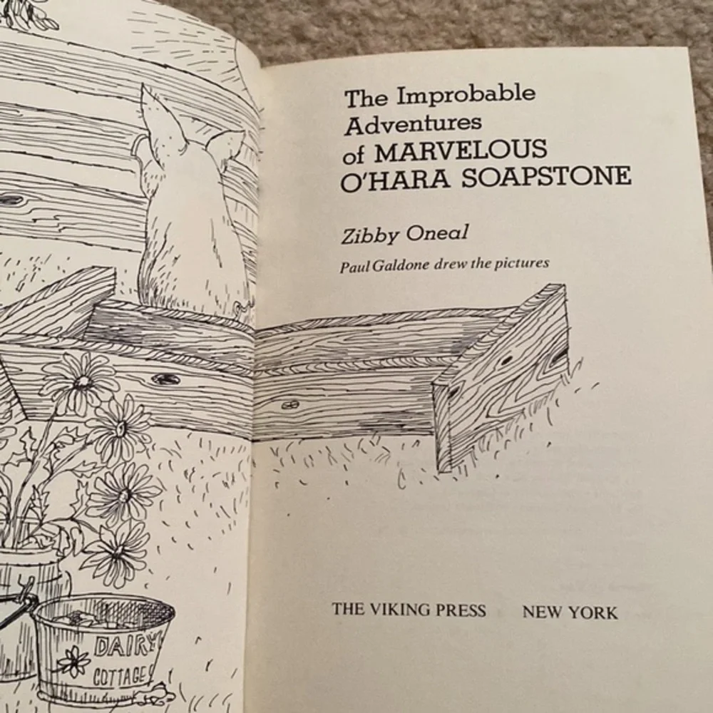 Vintage 1972 Marvelous O'Hara Soapstone Zibby Oneal Weekly Reader Hardcover